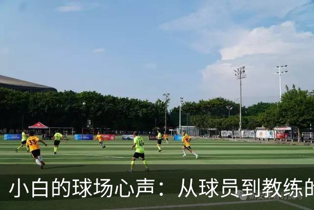 小白的球场心声：从球员到教练的华丽转身
