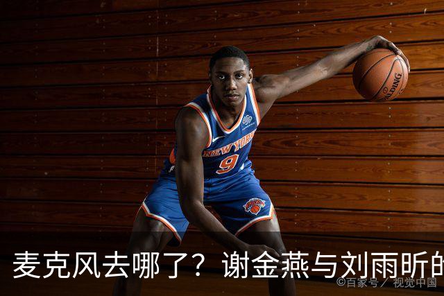 麦克风去哪了？谢金燕与刘雨昕的舞台小插曲
